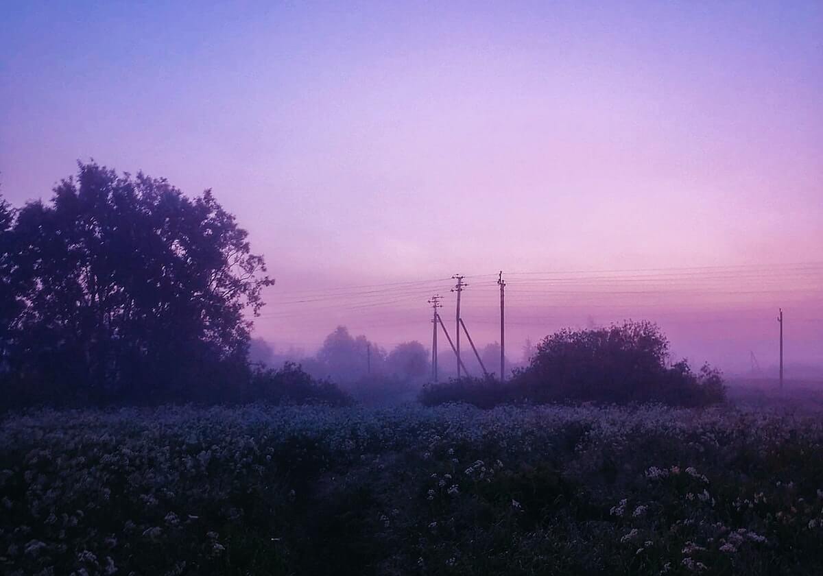 创作团队回应了：关于麻豆社区：信息量很大（别眨眼）