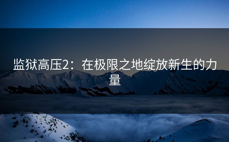 监狱高压2:在极限之地绽放新生的力量