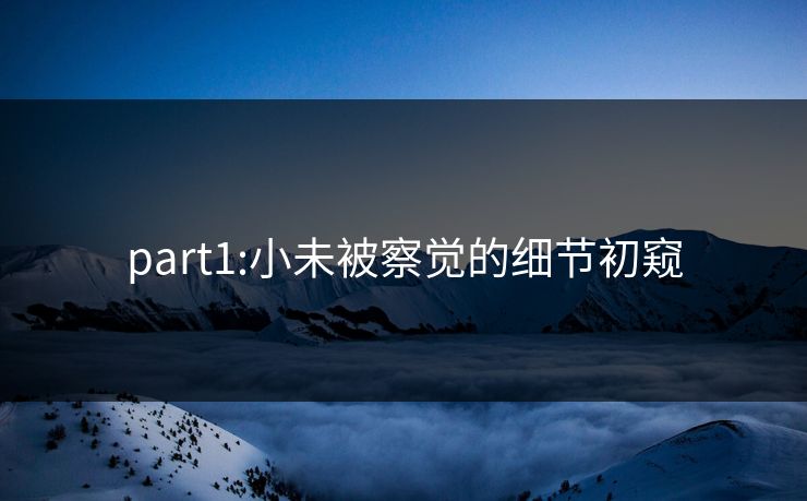 part1:小未被察觉的细节初窥