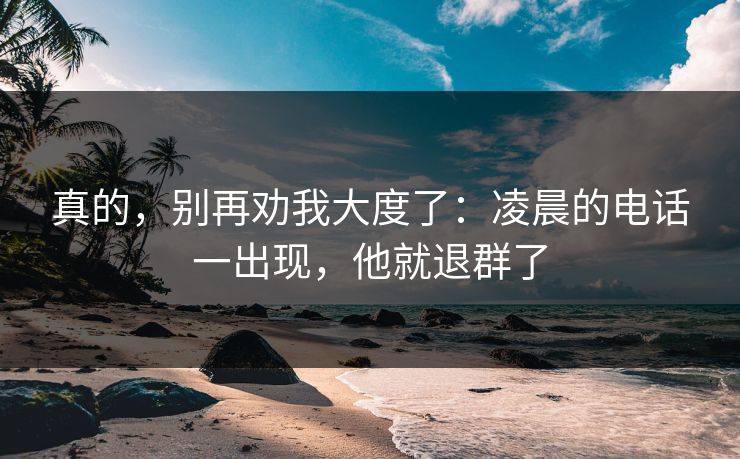 真的，别再劝我大度了：凌晨的电话一出现，他就退群了